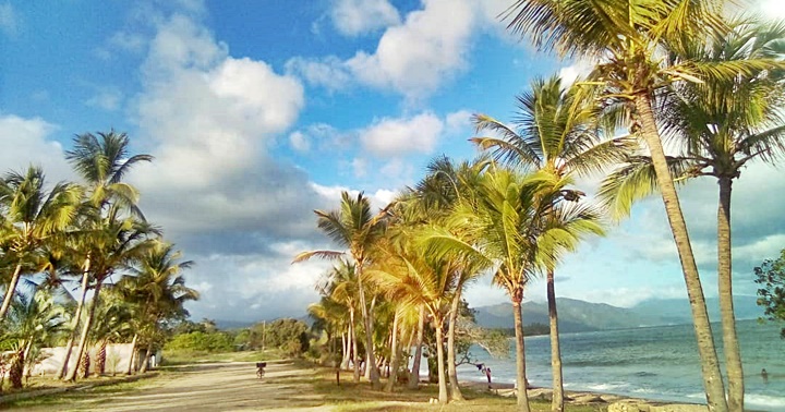 Jornadas de desmalezado