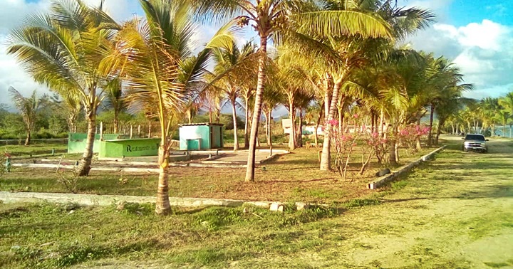 Jornadas de desmalezado