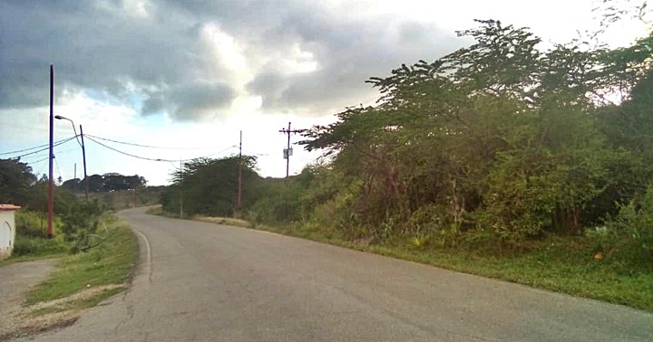 Jornadas de desmalezado