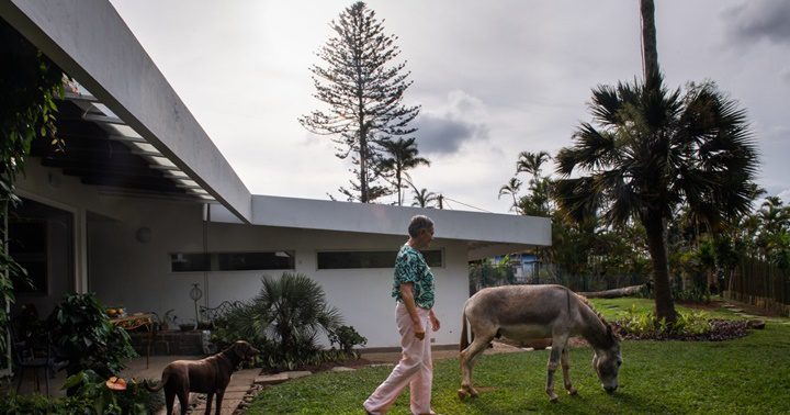 Maria-Fernanda-Di-Giacobbe-1