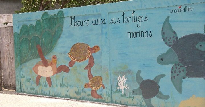 Macuro y sus tortugas