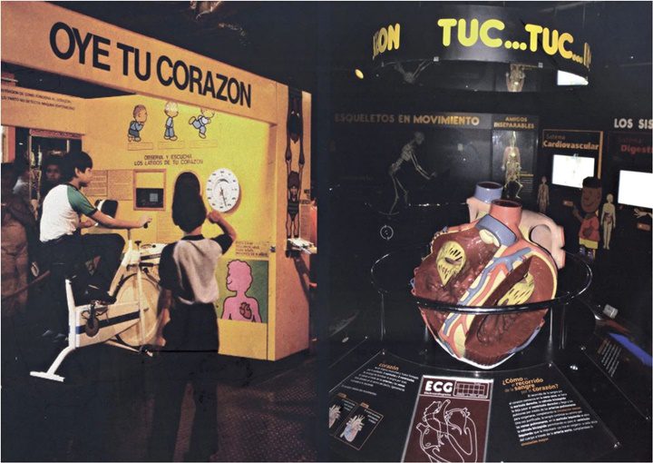 Museo de los Ninos 11 - El Museo de los Niños de Caracas el aula más grande, por Indira Rojas