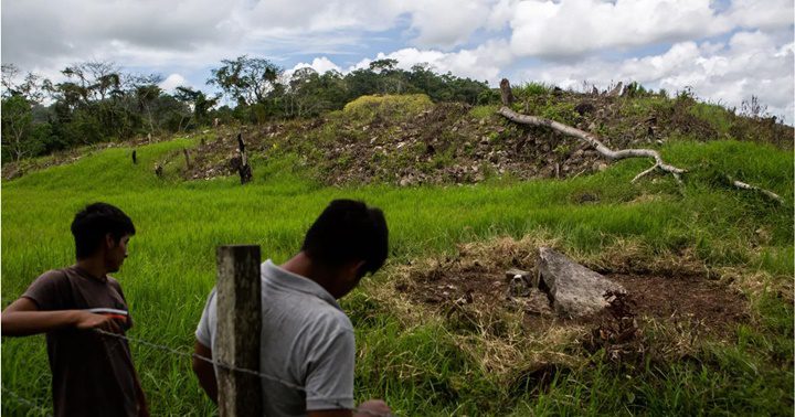 Descubrimientos sobre la cultura Maya 14