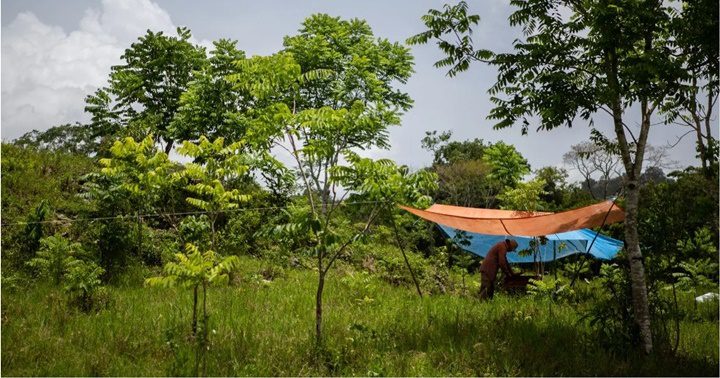 Descubrimientos sobre la cultura Maya 13