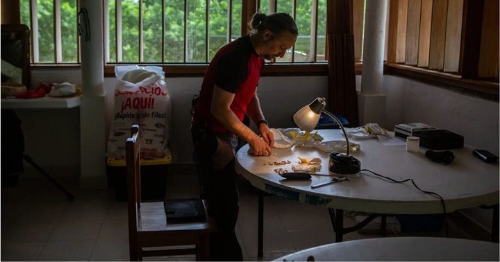 Descubrimientos sobre la cultura Maya 3