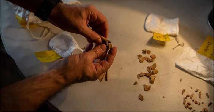 Descubrimientos sobre la cultura Maya 4