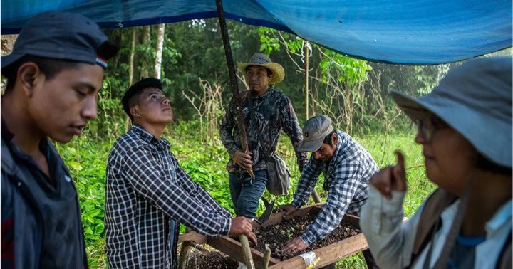 Descubrimientos sobre la cultura Maya 7