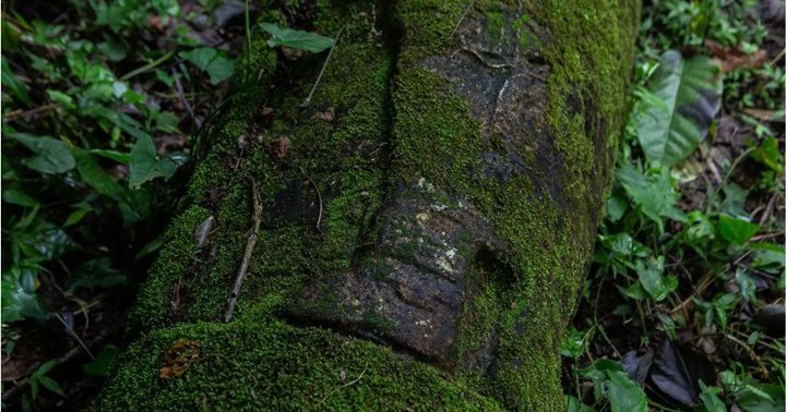 Descubrimientos sobre la cultura Maya 9