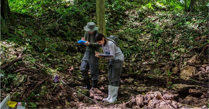 Descubrimientos sobre la cultura Maya 10