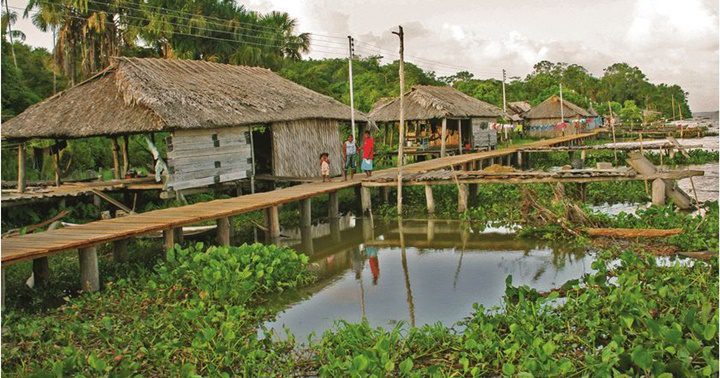 Araguaimujon en Delta Amacuro