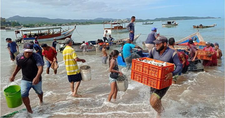 Pesca de la sardina en Sucre