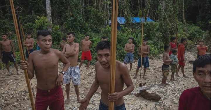 Los yanomamis en la Amazonia 1