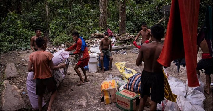 Los yanomamis en la Amazonia 14