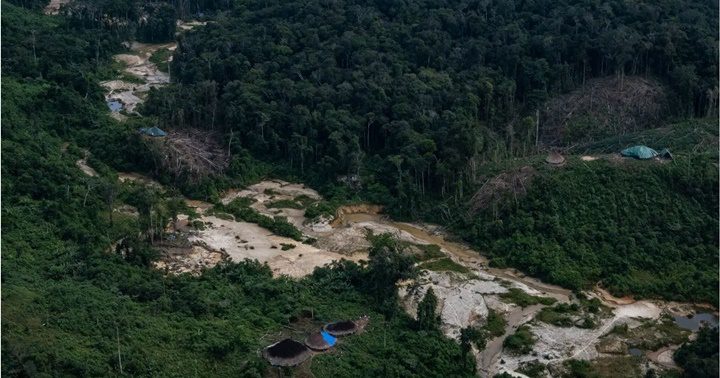 Los yanomamis en la Amazonia 18