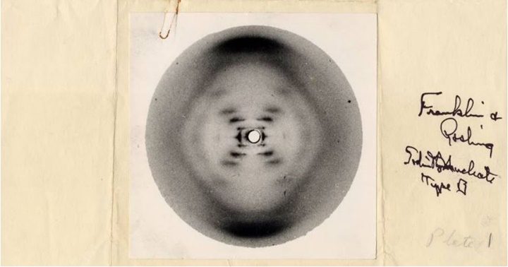 La famosa&nbsp;fotografía 51.