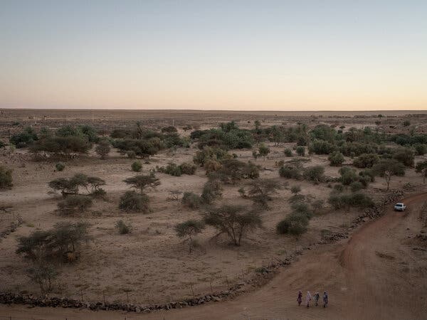 Four women and a car pass along a dusty road bordered by sparse trees.