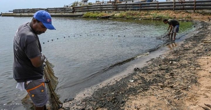 Camaronera Lago de Maracaibo 3