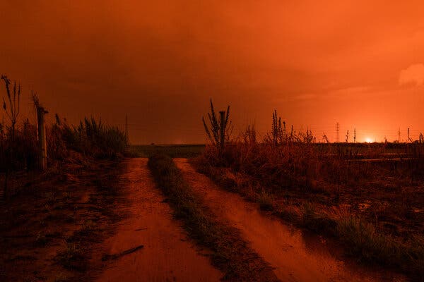 A dirt road, with two lanes separated by grass, under a red sky.