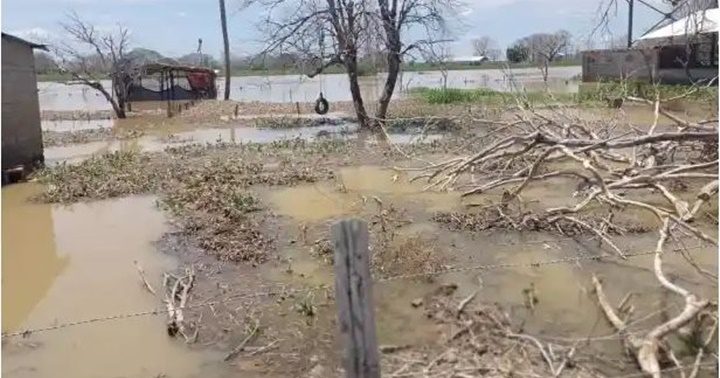 Sur del Lago de Maracaibo 1
