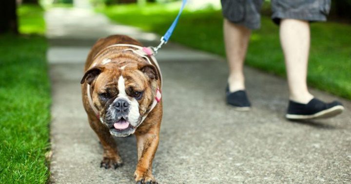 La soledad Países Bajos 4