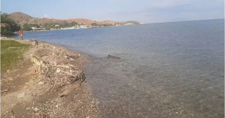 Las comunidades de Araya 1