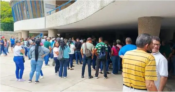 Maestros en Nueva Esparta