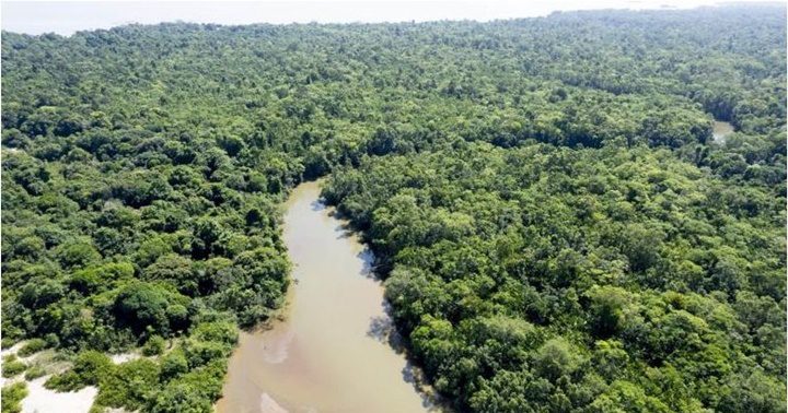 Tierra de Amazonas 3