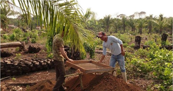 Tierra de Amazonas 5