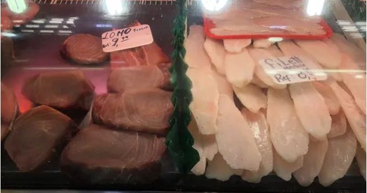 Pescados en La Guaira 3