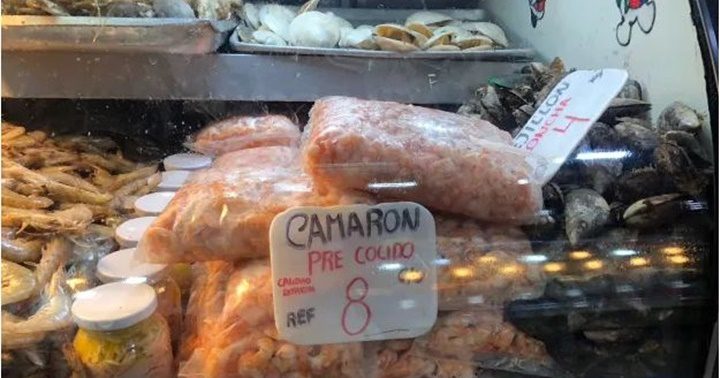 Pescados en La Guaira 2