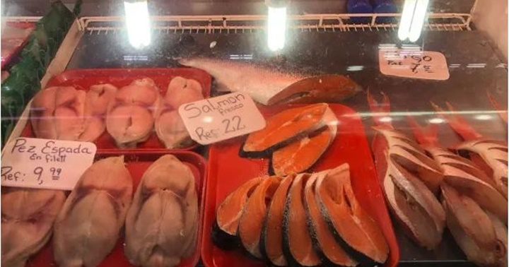 Pescados en La Guaira 1