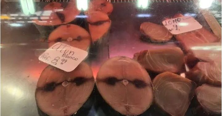 Pescados en La Guaira