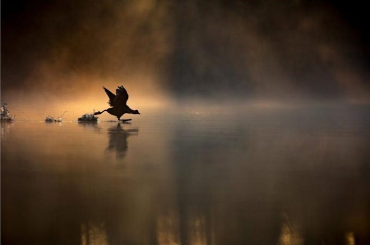 Fotografías Awards 2024 2