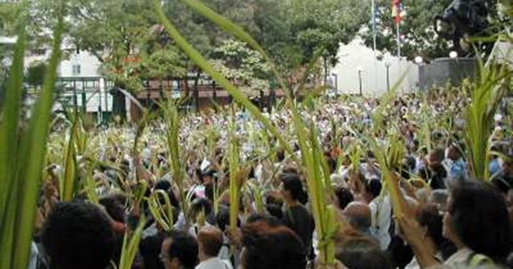 Domingo de Ramos Venezuela 1 Domingo de Ramos Venezuela 1