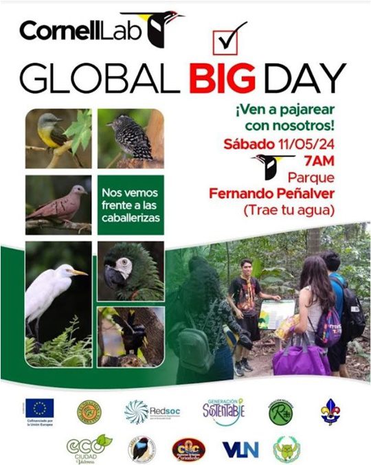 Global Big Day