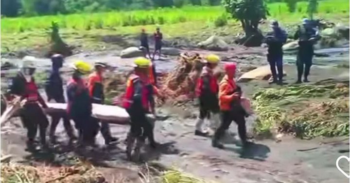 Cumanacoa 7 julio 2024