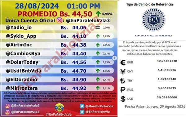 Dólar bolívares 28 8 2024