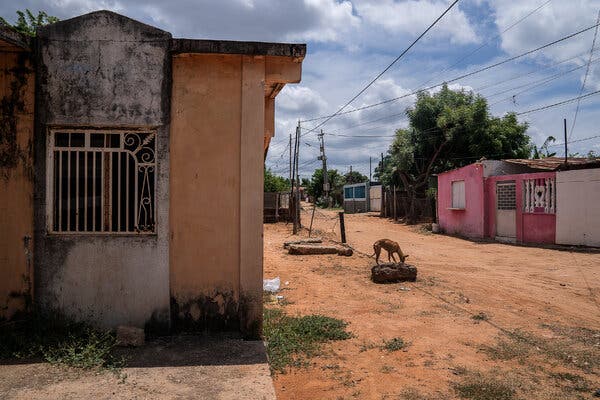 A stray dog on a dirt street amid humble homes. 