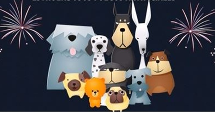 Fuegos artificiales en mascotas 1