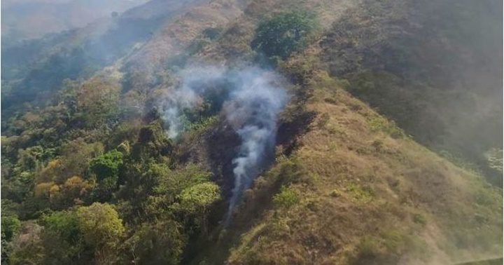 Parque Nacional Henri Pittier en el estado Aragua 3 2023