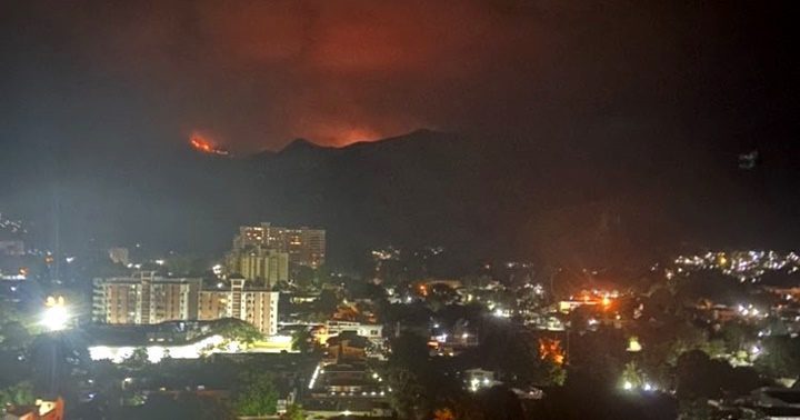Un incendio forestal en el parque Henri Pittier 1
