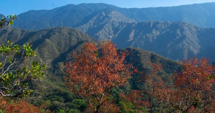 Parque nacional Henri Pittier 1