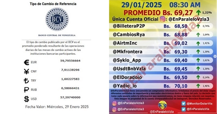Dólar paralelo 29 1 2025