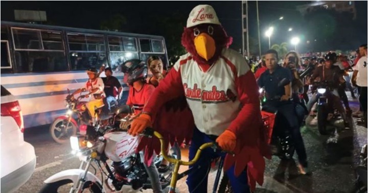 Los Cardenales de Lara 2025 1
