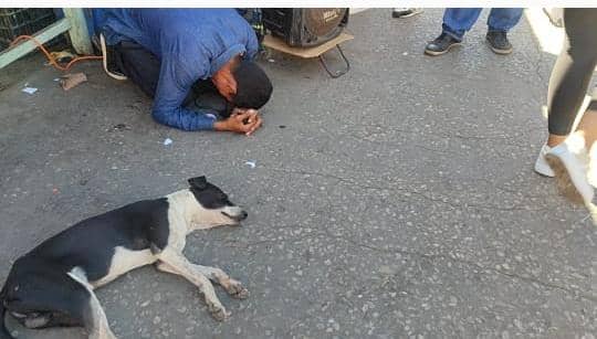 4dda8b13 b3f0 48c9 92f6 de216518b2b1