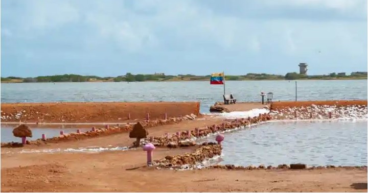 Las Cumaraguas de Paraguaná 2