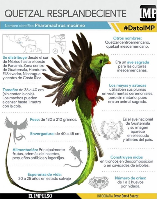 Quetzal 1