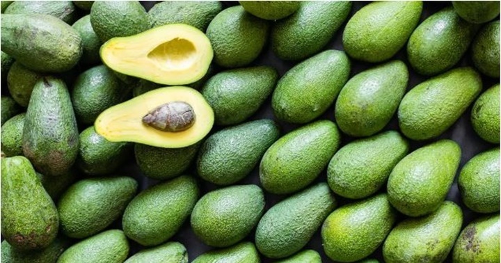 Aguacate