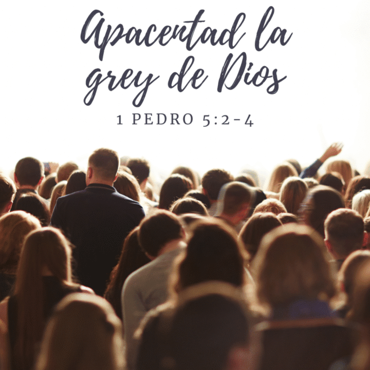 La Grey de Dios