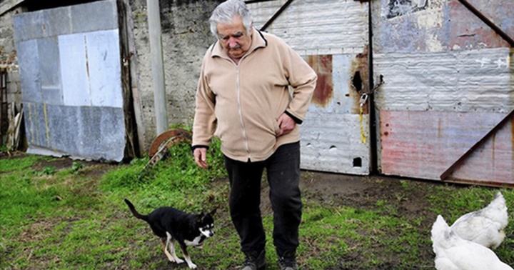 José Pepe Mujica